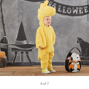 Pottery Barn Woodstock costume size 12-24 months